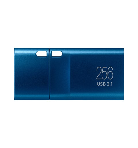 Samsung MUF-256DA lecteur USB flash 256 Go USB Type-C 3.2 Gen 1 (3.1 Gen 1) Bleu