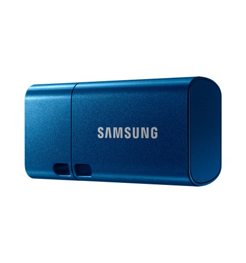 Samsung MUF-64DA lecteur USB flash 64 Go USB Type-C 3.2 Gen 1 (3.1 Gen 1) Bleu