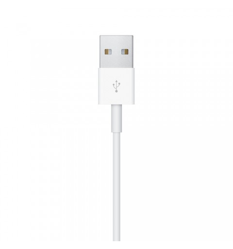 Apple MX2E2ZM A Accesorios para dispositivos vestibles inteligentes Cable de carga Blanco