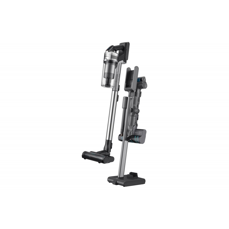 Samsung VS20R9046T3 Titan Staubbeutel