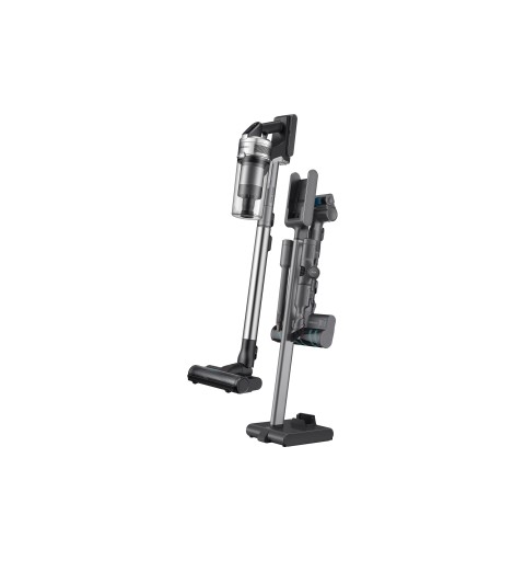 Samsung VS20R9046T3 Titan Staubbeutel