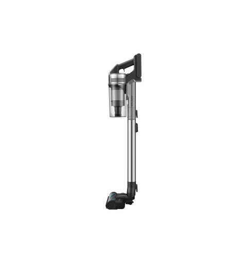 Samsung VS20R9046T3 Titanium Dust bag