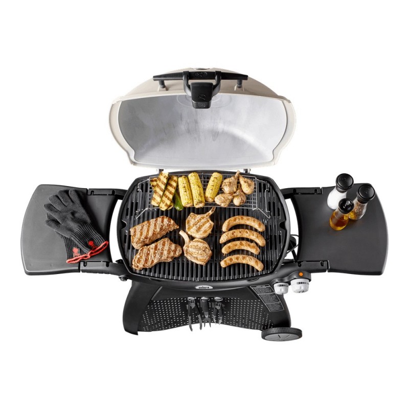 Weber Q 3200 con Stand - Barbecue a Gas