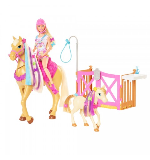 Barbie Coffret Toilettage Des Chevaux Avec Poupée Et Chevaux