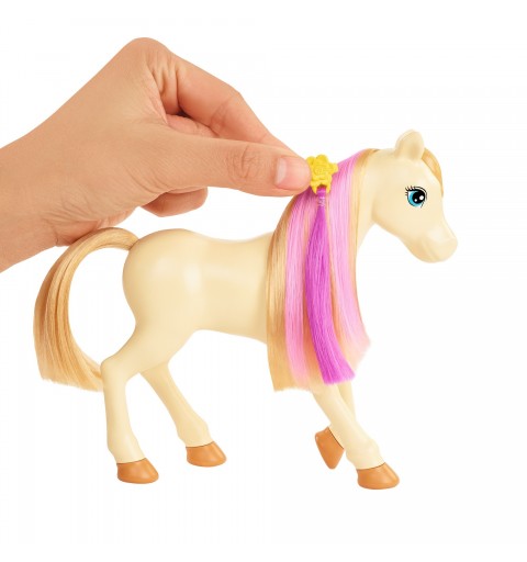 Barbie Coffret Toilettage Des Chevaux Avec Poupée Et Chevaux