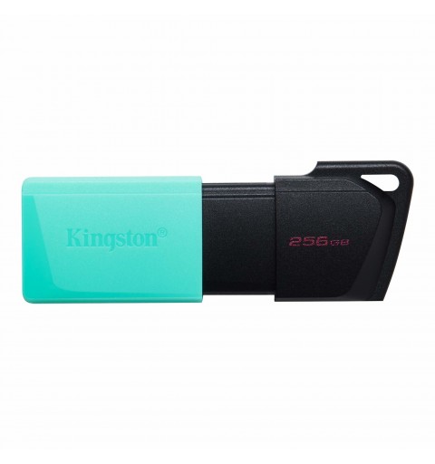 Kingston Technology DataTraveler Exodia M unità flash USB 256 GB USB tipo A 3.2 Gen 1 (3.1 Gen 1) Nero, Turchese