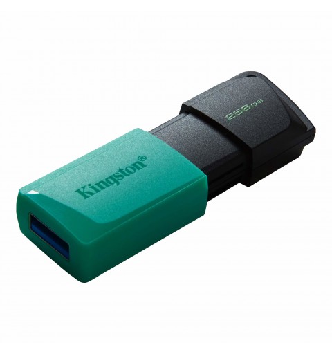 Kingston Technology DataTraveler Exodia M unità flash USB 256 GB USB tipo A 3.2 Gen 1 (3.1 Gen 1) Nero, Turchese