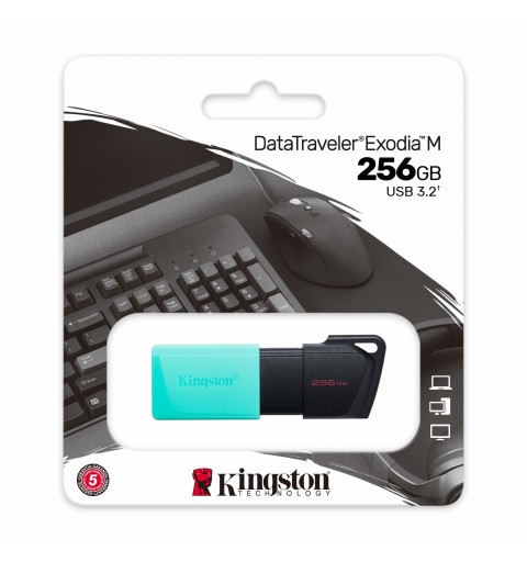 Kingston Technology DataTraveler Exodia M unità flash USB 256 GB USB tipo A 3.2 Gen 1 (3.1 Gen 1) Nero, Turchese