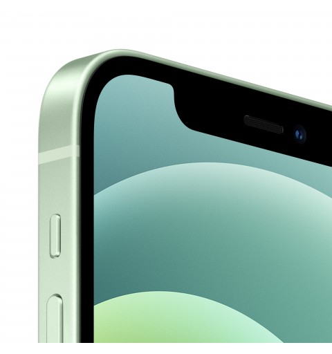 Apple iPhone 12 15,5 cm (6.1 Zoll) Dual-SIM iOS 14 5G 128 GB Grün