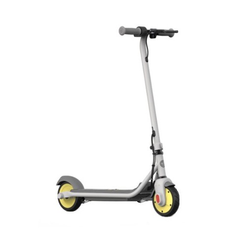 Ninebot by Segway ZING C8 Elektro-Kickroller 16 km h Grau
