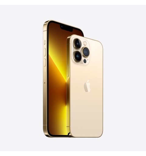 Apple iPhone 13 Pro 15,5 cm (6.1") SIM doble iOS 15 5G 512 GB Oro