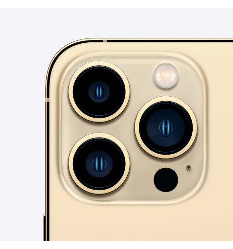 Apple iPhone 13 Pro 15.5 cm (6.1") Dual SIM iOS 15 5G 512 GB Gold
