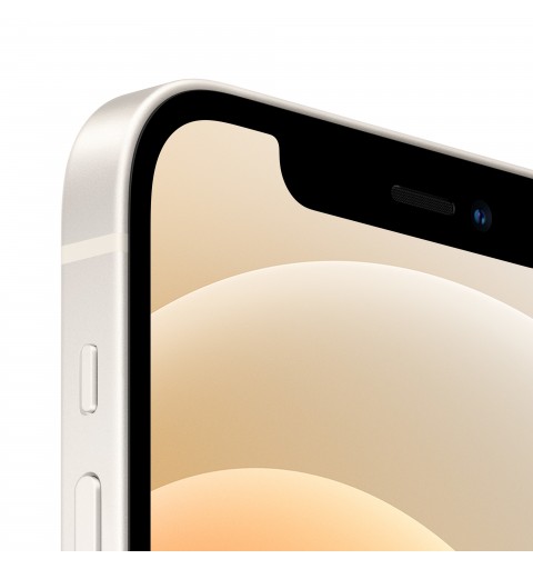 Apple iPhone 12 15,5 cm (6.1") Double SIM iOS 14 5G 64 Go Blanc