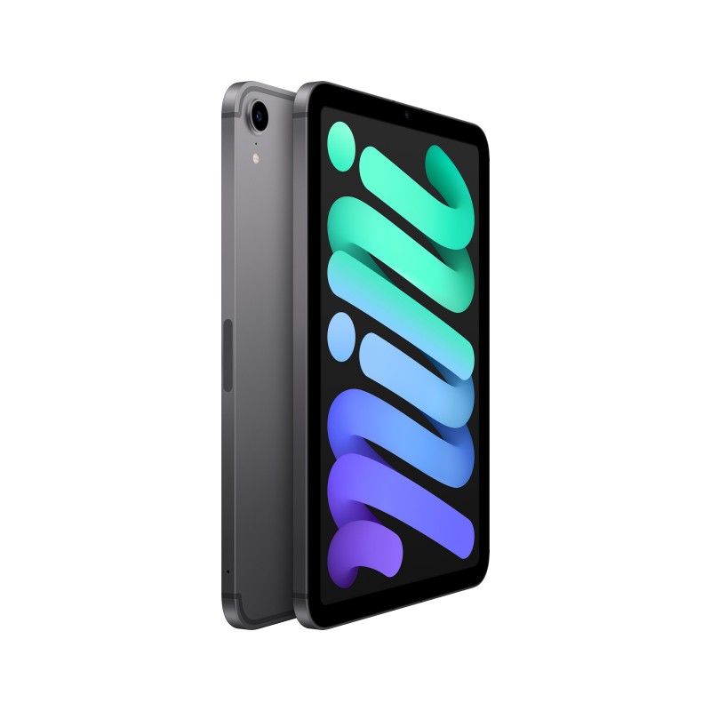 Apple iPad mini TD-LTE & FDD-LTE 64 Go 21,1 cm (8.3") 4 Go Wi-Fi 6 (802.11ax) iPadOS 15 Gris