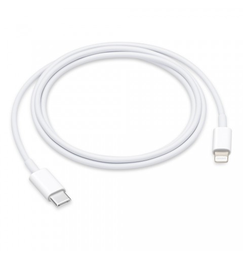 Apple Cavo da Lightning a USB-C (1 m)
