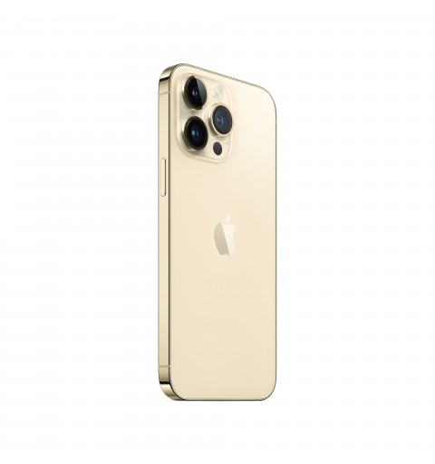 Apple iPhone 14 Pro Max 17 cm (6.7") SIM doble iOS 16 5G 256 GB Oro
