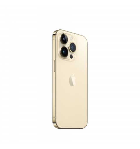 Apple iPhone 14 Pro 15,5 cm (6.1") Doppia SIM iOS 16 5G 256 GB Oro
