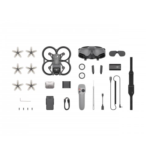 DJI Avata Pro-View Combo 4 rotores Cuadricóptero 48 MP 3840 x 2160 Pixeles 2420 mAh Negro, Gris