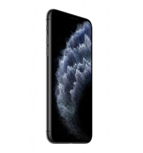 Apple iPhone 11 Pro Max 16,5 cm (6.5 Zoll) Dual-SIM iOS 13 4G 512 GB Grau