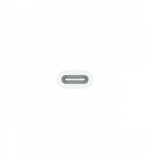 Apple Adattatore USB-C a Matita