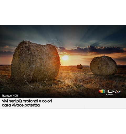 Samsung Series 6 QE65Q60BAU 165.1 cm (65") 4K Ultra HD Smart TV Wi-Fi Black