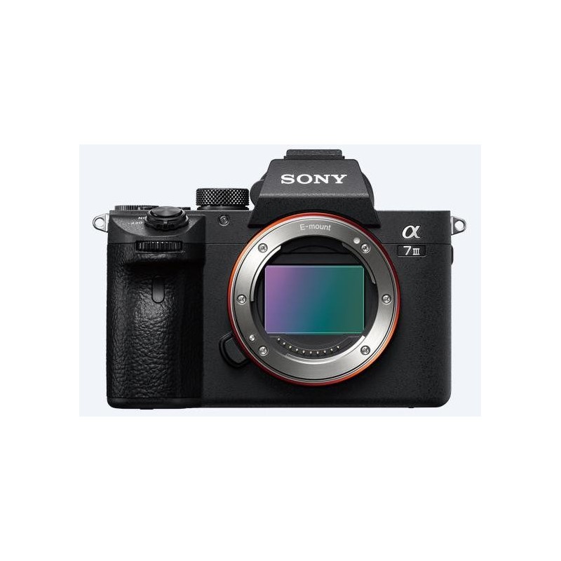 Sony α 7 III + 28-70mm MILC 24.2 MP CMOS 6000 x 4000 pixels Black
