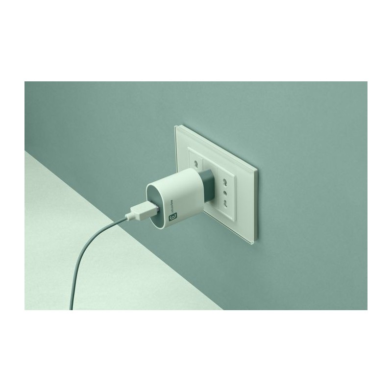 Cellularline USB Charger Stylecolor - Universal Caricabatterie da rete 12W colorato Verde