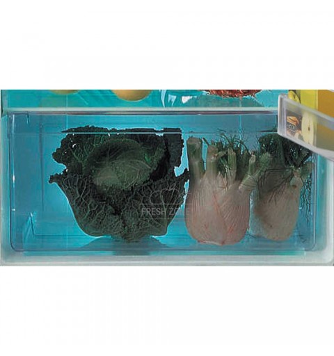 Hotpoint T 16 A2 D HA 1 frigorifero con congelatore Da incasso 239 L F Acciaio inossidabile