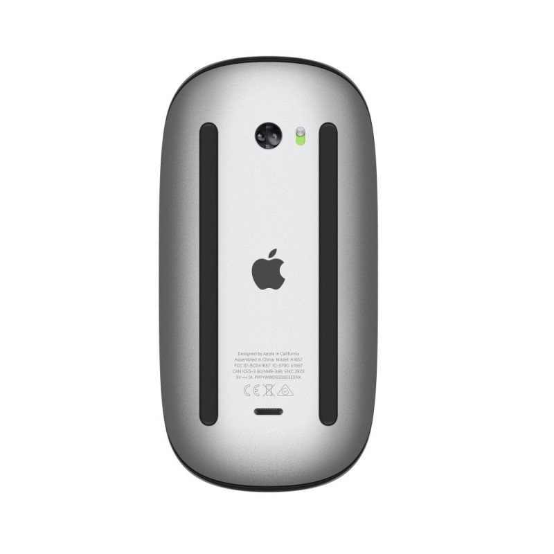 Apple Magic mouse Ambidextrous Bluetooth