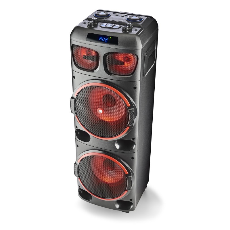 NGS WILD DUB 1 Stereo portable speaker Black 300 W