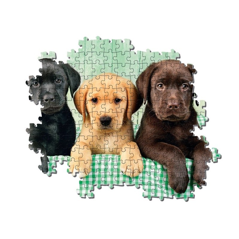 Clementoni Three Labrador Puzzle 1000 pz Animali