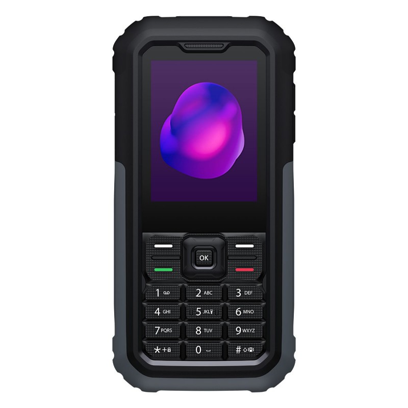 TCL 3189 6.1 cm (2.4") Black, Grey Camera phone