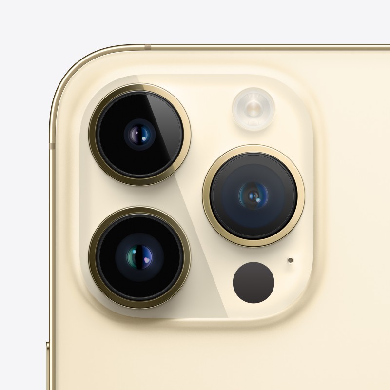 Apple iPhone 14 Pro 15,5 cm (6.1") Doppia SIM iOS 16 5G 256 GB Oro