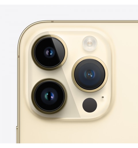 Apple iPhone 14 Pro 15.5 cm (6.1") Dual SIM iOS 16 5G 256 GB Gold