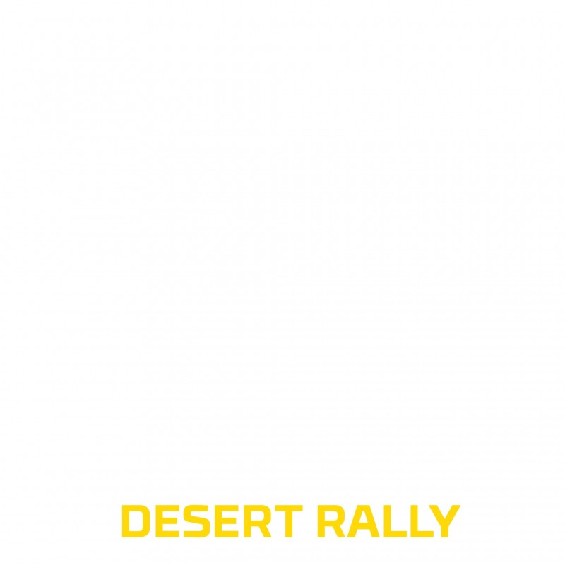 Deep Silver Dakar Desert Rally Standard Anglais, Italien PlayStation 4