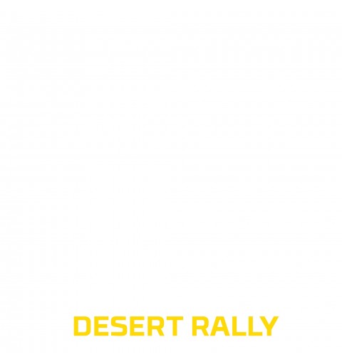 Deep Silver Dakar Desert Rally Standard Englisch, Italienisch PlayStation 4