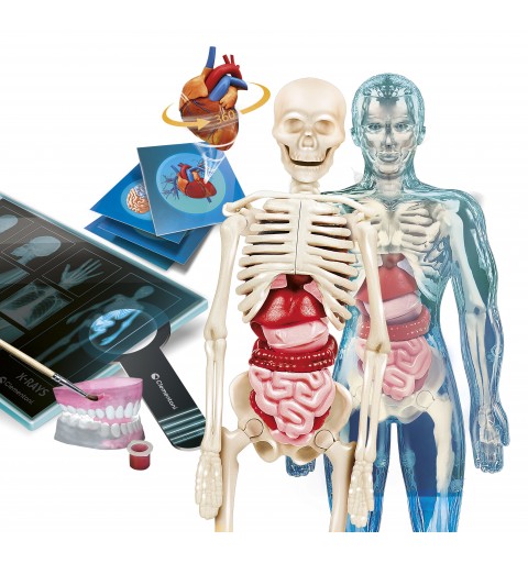 Clementoni Science & Jeu laboratoire - Scienza & Gioco Lab - Anatomia