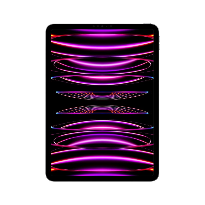 Apple iPad Pro 256 GB 27,9 cm (11 Zoll) Apple M 8 GB Wi-Fi 6E (802.11ax) iPadOS 16 Grau