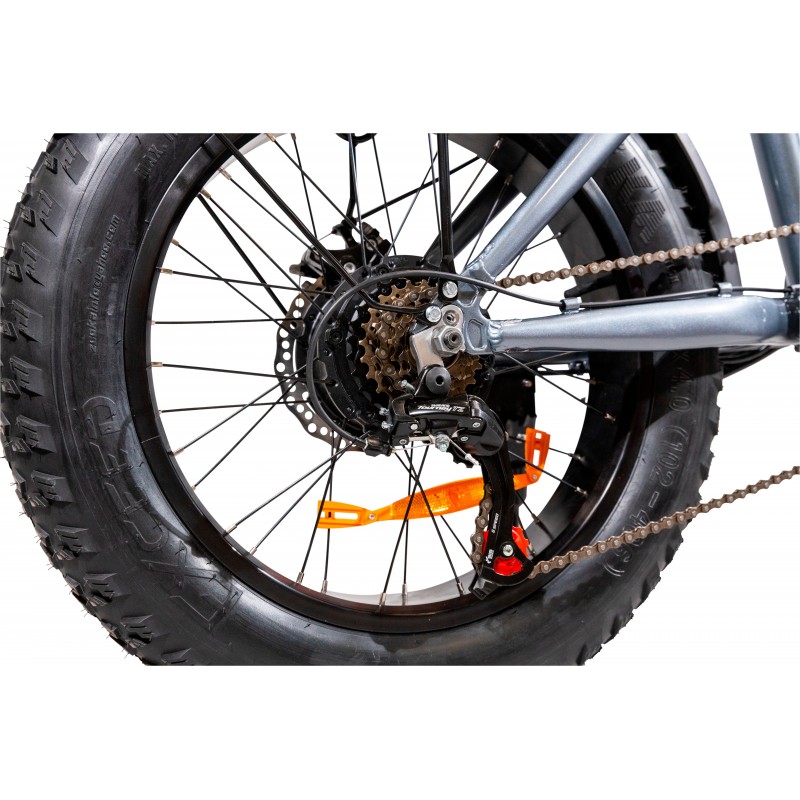 EMG 20FB10 Elektro-Fahrrad Grau Aluminium 50,8 cm (20 Zoll) 29 kg