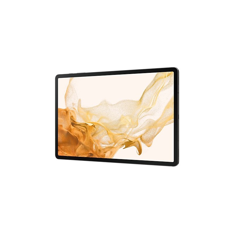 Samsung Galaxy Tab S8+ SM-X800N 256 GB 31.5 cm (12.4") Qualcomm Snapdragon 8 GB Wi-Fi 6 (802.11ax) Graphite