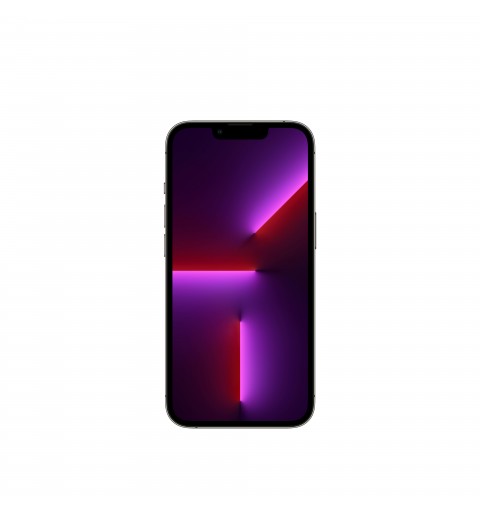 Apple iPhone 13 Pro 1TB Grafite