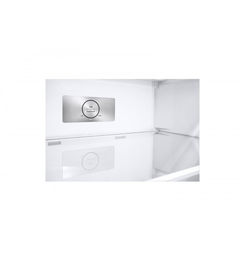 LG GTBV36PZGKD Frigorifero doppia porta 70cm, Classe E, 395L, Door & Linear Cooling, Inox
