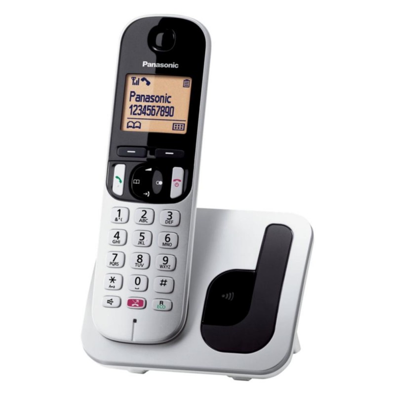 Cordless Panasonic KX-TGC250JTB Silver e White