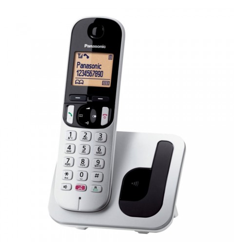 Cordless Panasonic KX-TGC250JTB Silver e White