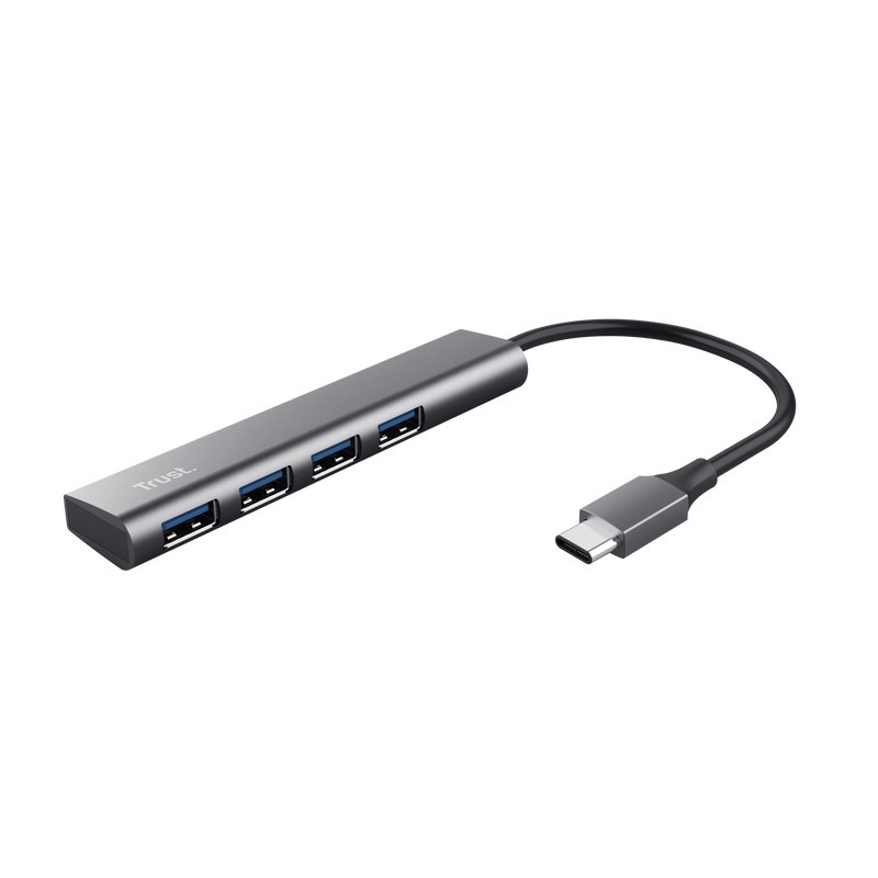 Trust Halyx USB 3.2 Gen 1 (3.1 Gen 1) Type-A 5 Mbit s Grau