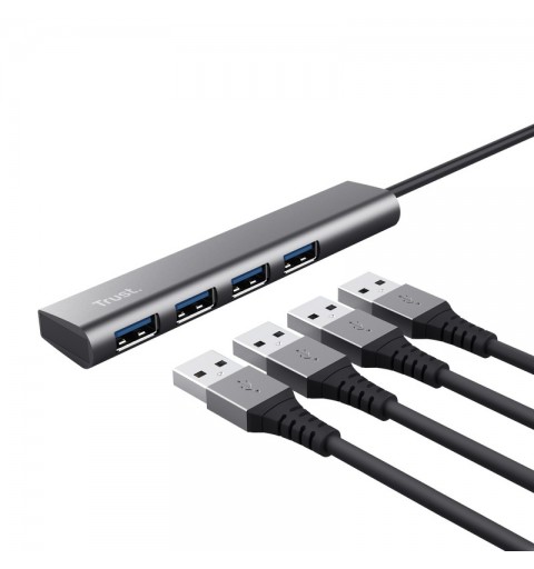 Trust Halyx USB 3.2 Gen 1 (3.1 Gen 1) Type-A 5 Mbit s Grau