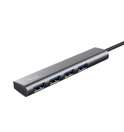 Trust Halyx USB 3.2 Gen 1 (3.1 Gen 1) Type-A 5 Mbit s Grau