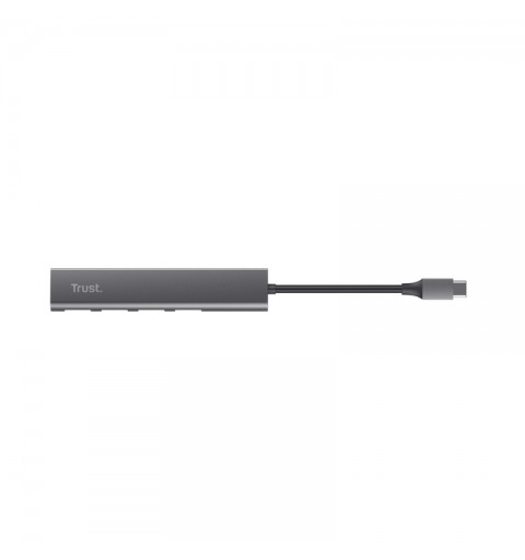 Trust Halyx USB 3.2 Gen 1 (3.1 Gen 1) Type-A 5 Mbit s Grau