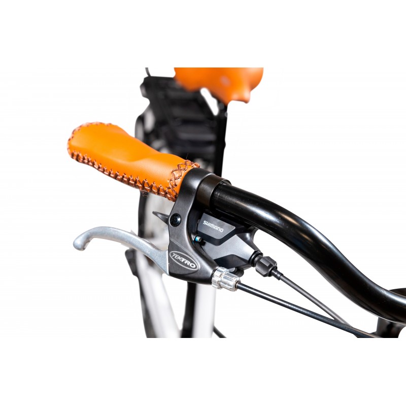 EMG E-bike Vintage con telaio in alluminio 19", ruote 28", motore centrale 250W Ananda, batteria 13AH e cambio Shimano