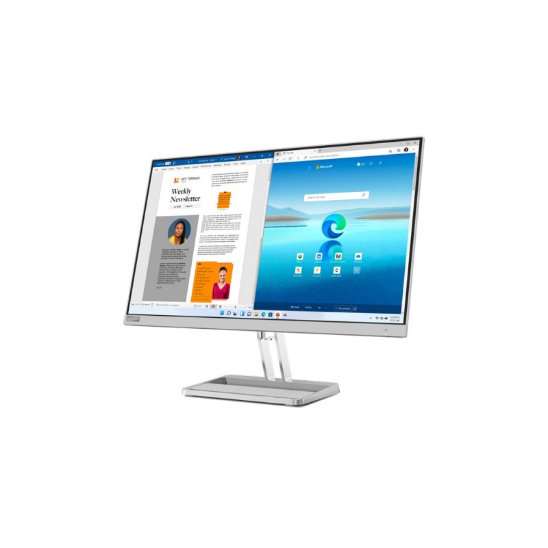 Lenovo L27i-40 LED display 68.6 cm (27") 1920 x 1080 pixels Full HD Grey
